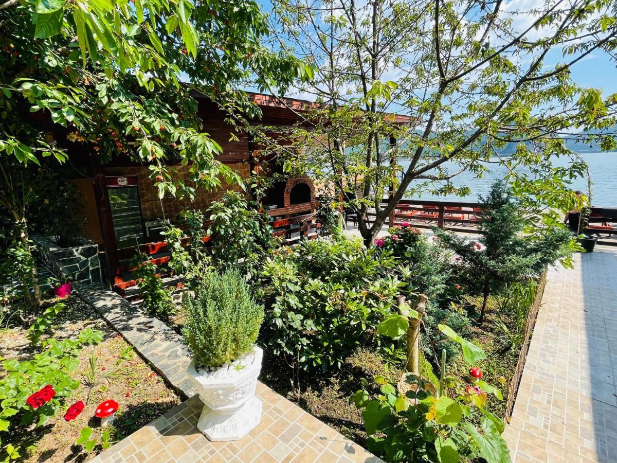 Casa Camelia Hotel Dubova Exterior photo