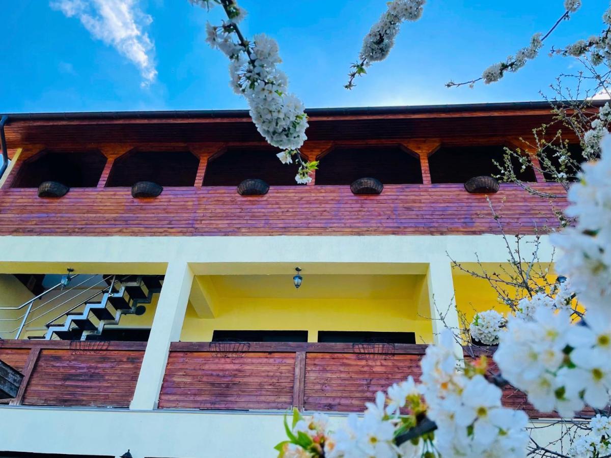 Casa Camelia Hotel Dubova Exterior photo